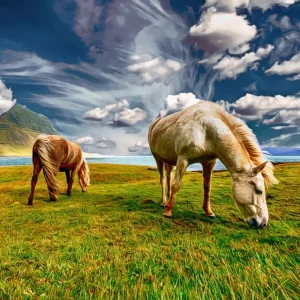 Paarden in weiland