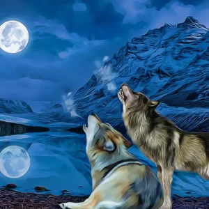 Wolven met volle maan
